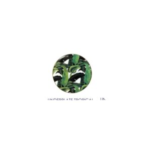 Underplate Tropical