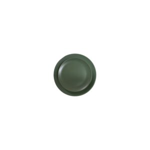 Light Green Dinner Plate