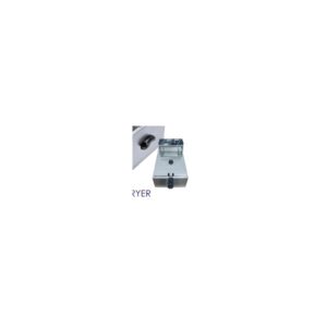Ellectric Fryer